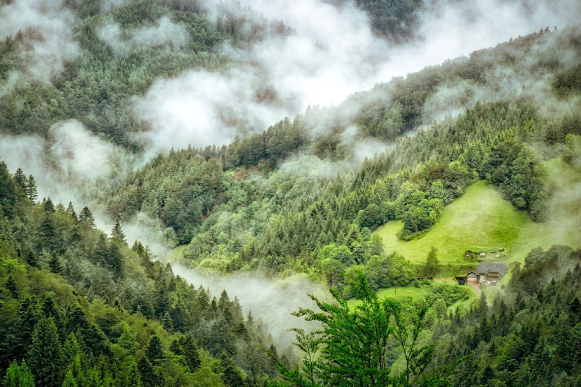 Der Schwarzwald lädt zum Wandern und Schlemmen ein